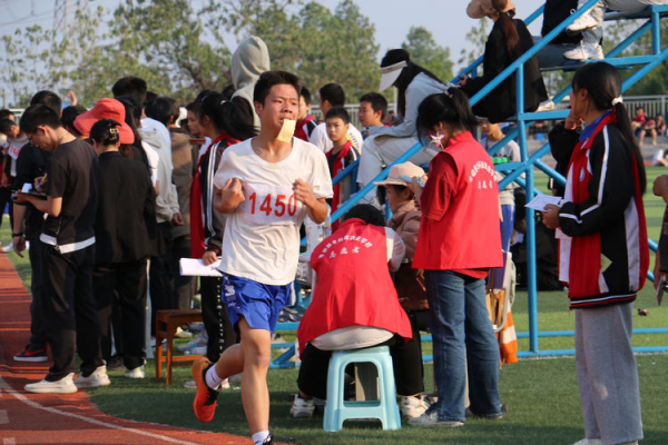 常德德才科技職業(yè)學校,常德招生就業(yè),電子商務專業(yè)學校,專業(yè)學校報考哪里好 常德德才科技職業(yè)學校,常德招生就業(yè),電子商務專業(yè)學校,專業(yè)學校報考哪里好
