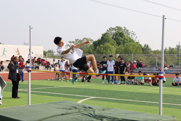 常德德才科技職業(yè)學校,常德招生就業(yè),電子商務專業(yè)學校,專業(yè)學校報考哪里好 常德德才科技職業(yè)學校,常德招生就業(yè),電子商務專業(yè)學校,專業(yè)學校報考哪里好